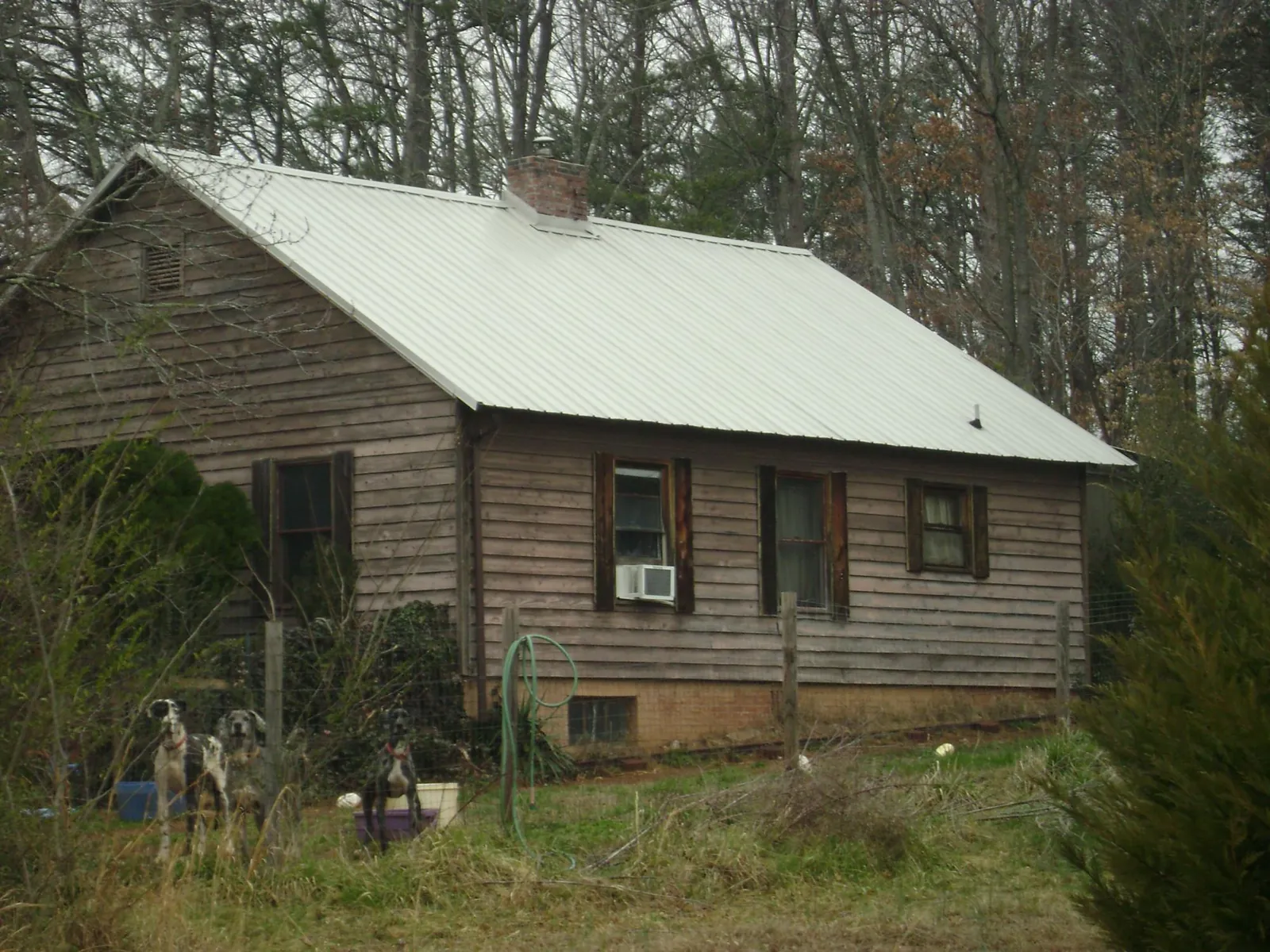 White metal roof on an old wood sided farmhouse, from a Metal Roof Installation job in Cardwell